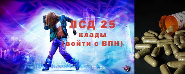 гашик Армянск